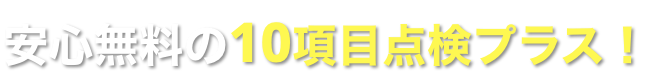 10項目点検プラス